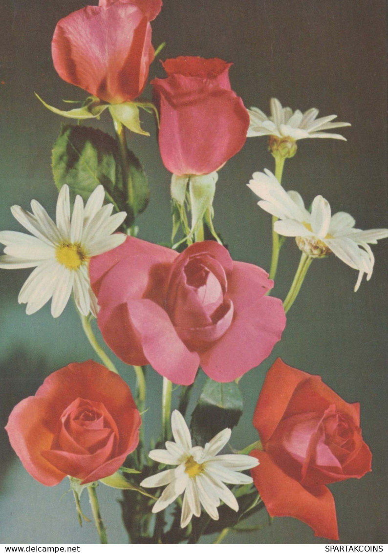 FLEURS Vintage Carte Postale CPSM #PAS593.FR - Flowers