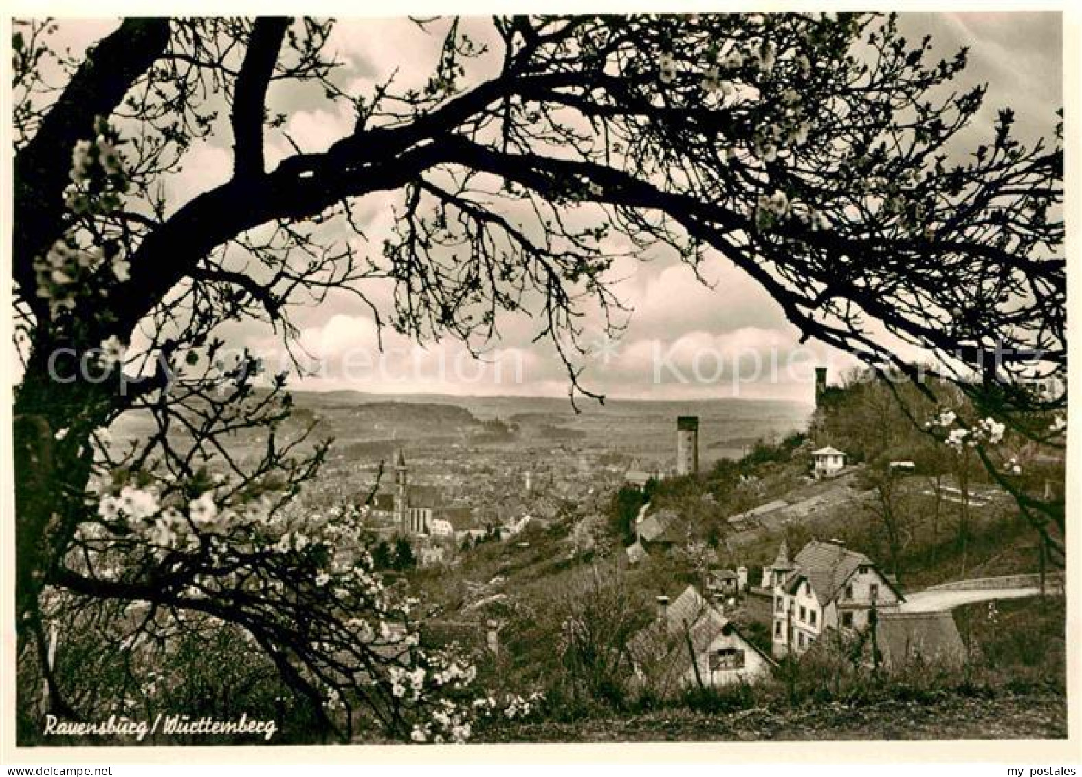 72632322 Ravensburg Wuerttemberg Panorama Ravensburg - Ravensburg