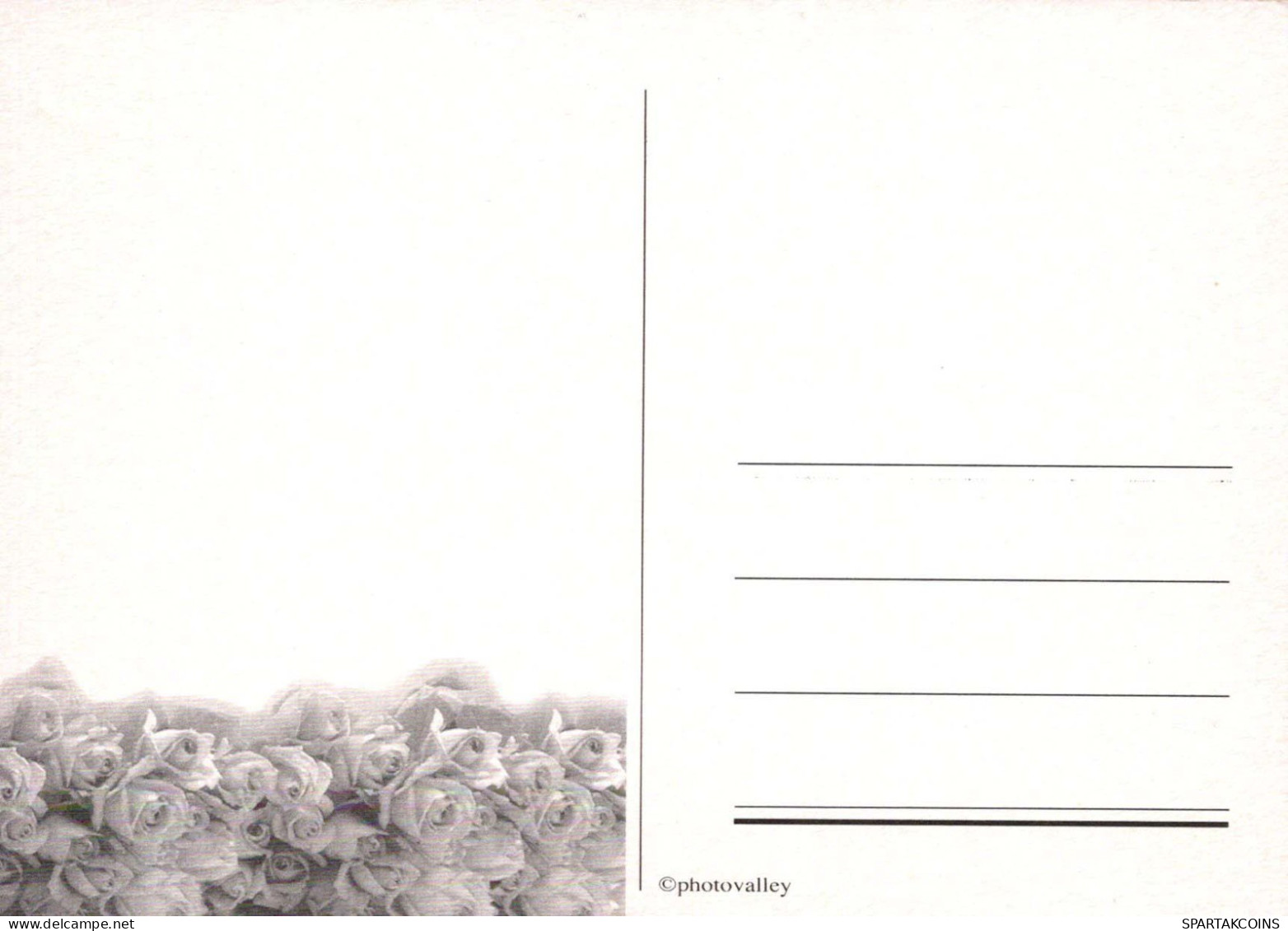 FLORES Vintage Tarjeta Postal CPSM #PBZ096.ES - Flowers