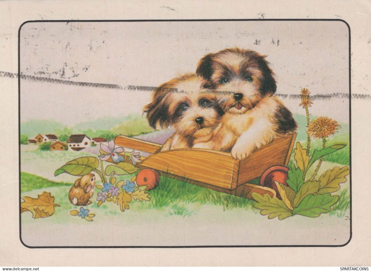 PERRO Animales Vintage Tarjeta Postal CPSM #PBQ595.ES - Hunde