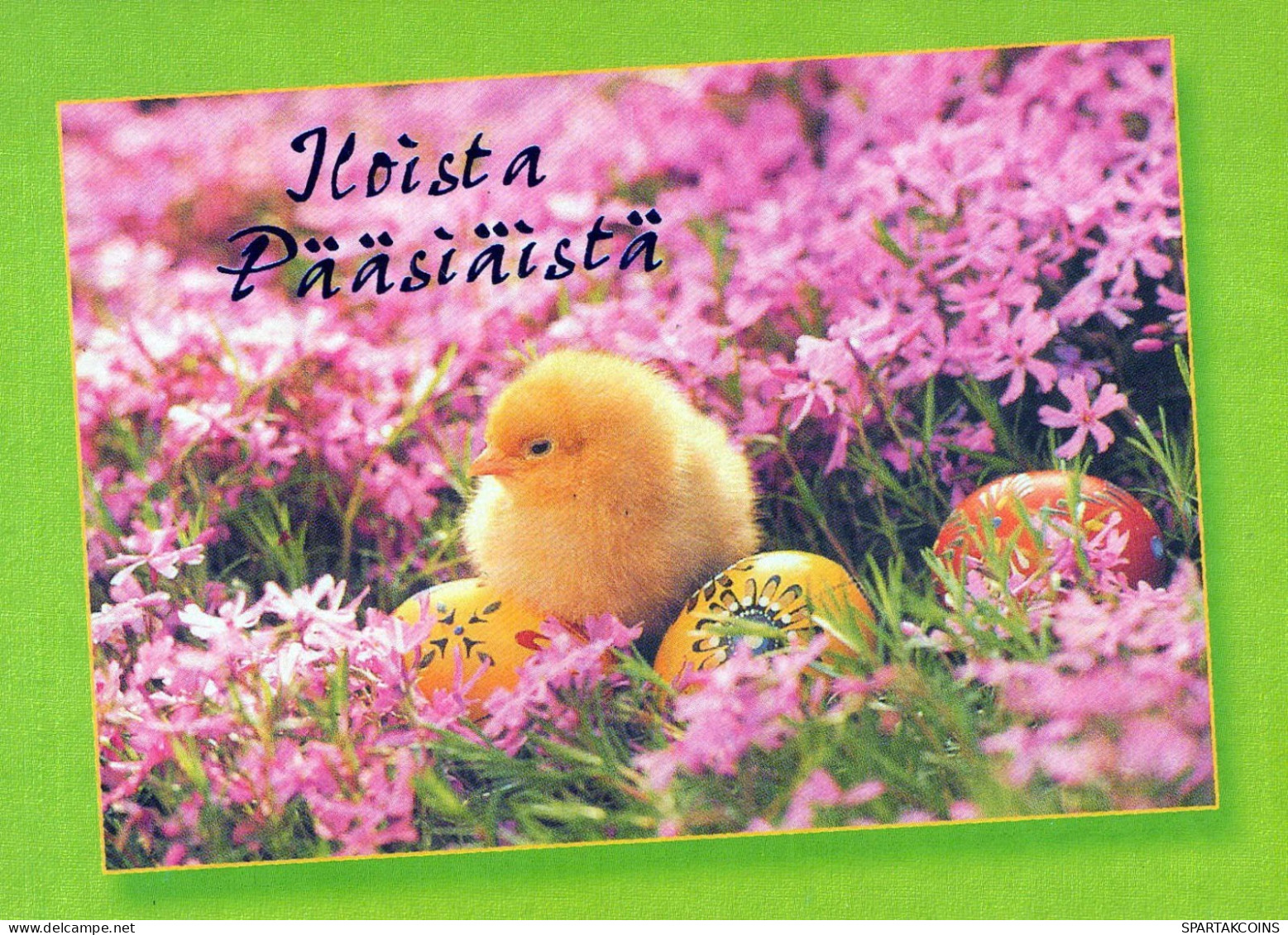 PASCUA POLLO HUEVO Vintage Tarjeta Postal CPSM #PBP123.ES - Ostern