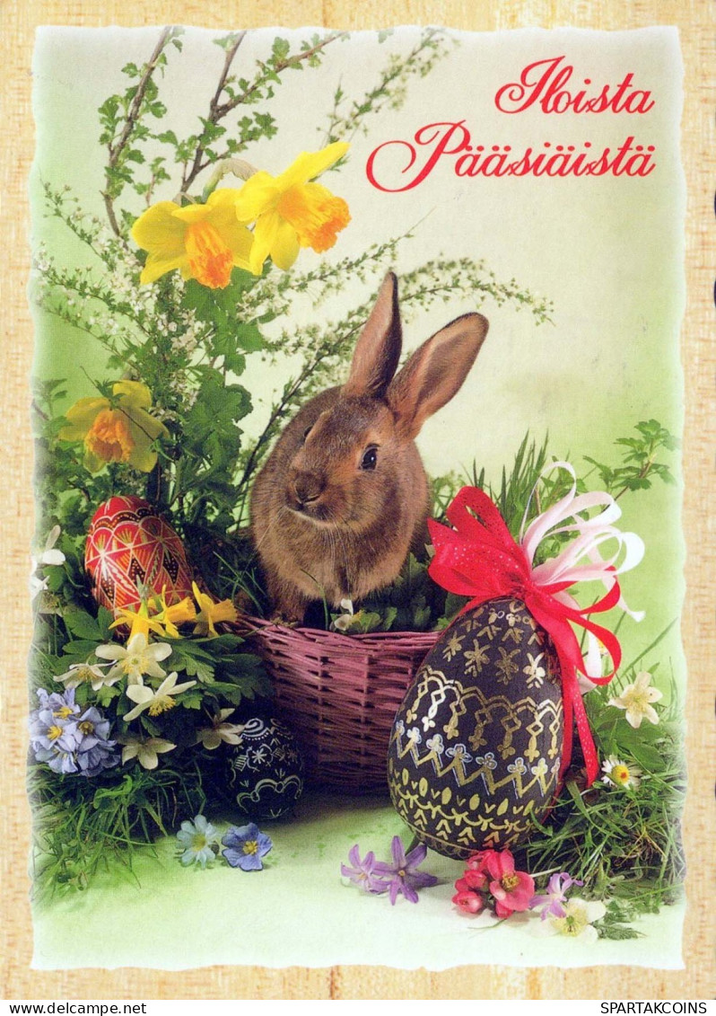 PASCUA CONEJO Vintage Tarjeta Postal CPSM #PBO494.ES - Ostern