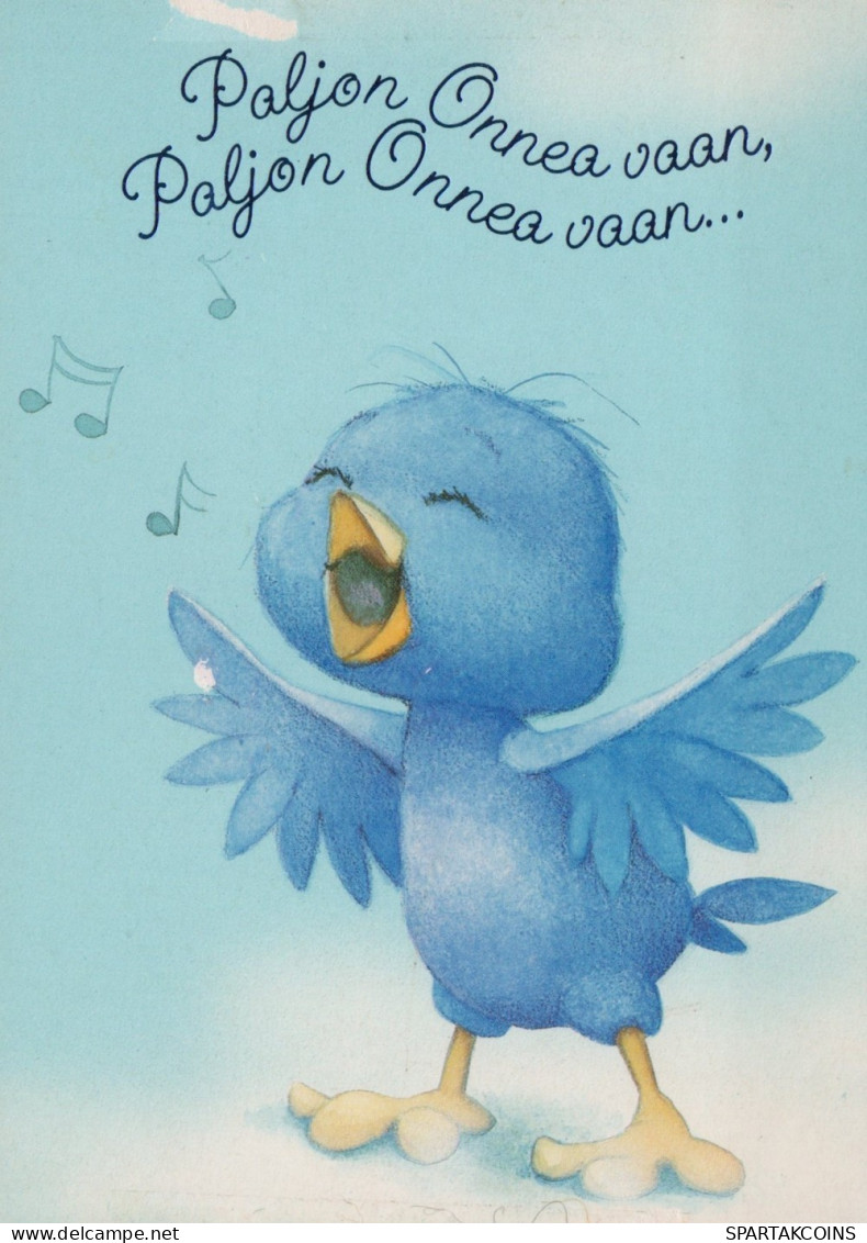 BIRD Animals Vintage Postcard CPSM #PAN190.GB - Pájaros