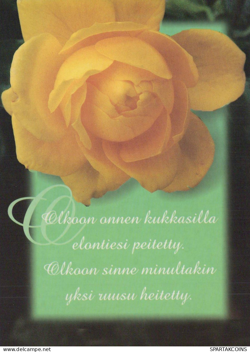 FLEURS Vintage Carte Postale CPSM #PBZ637.FR - Blumen