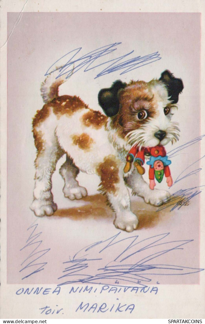 DOG Vintage Postcard CPSMPF #PKG924.GB - Hunde