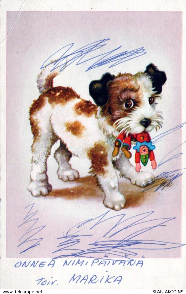 DOG Vintage Postcard CPSMPF #PKG924.GB - Chiens