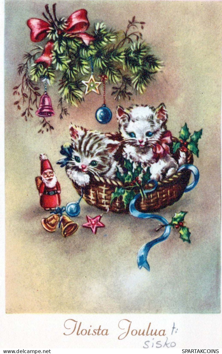 CAT KITTY Animals Vintage Postcard CPA #PKE753.GB - Chats