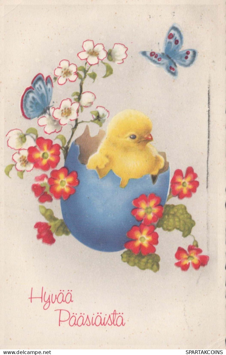 EASTER CHICKEN EGG Vintage Postcard CPA #PKE441.GB