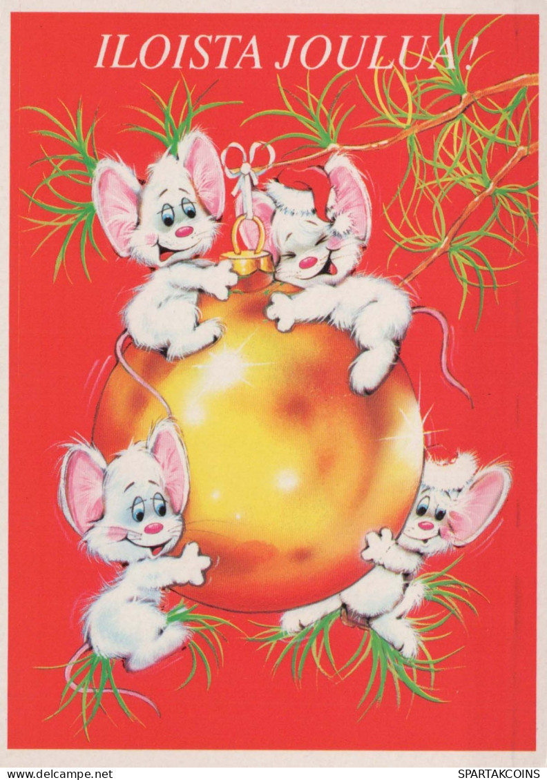 MOUSE Animals Vintage Postcard CPSM #PBR242.GB - Autres & Non Classés