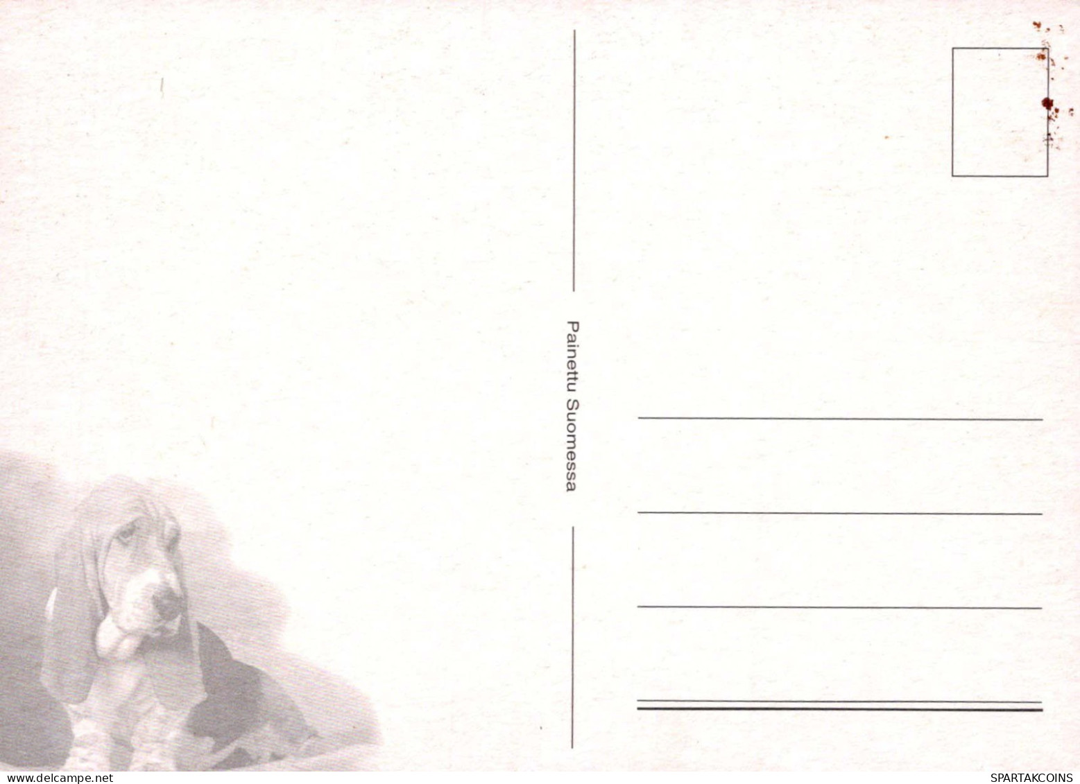 DOG Animals Vintage Postcard CPSM #PBQ391.GB - Chiens