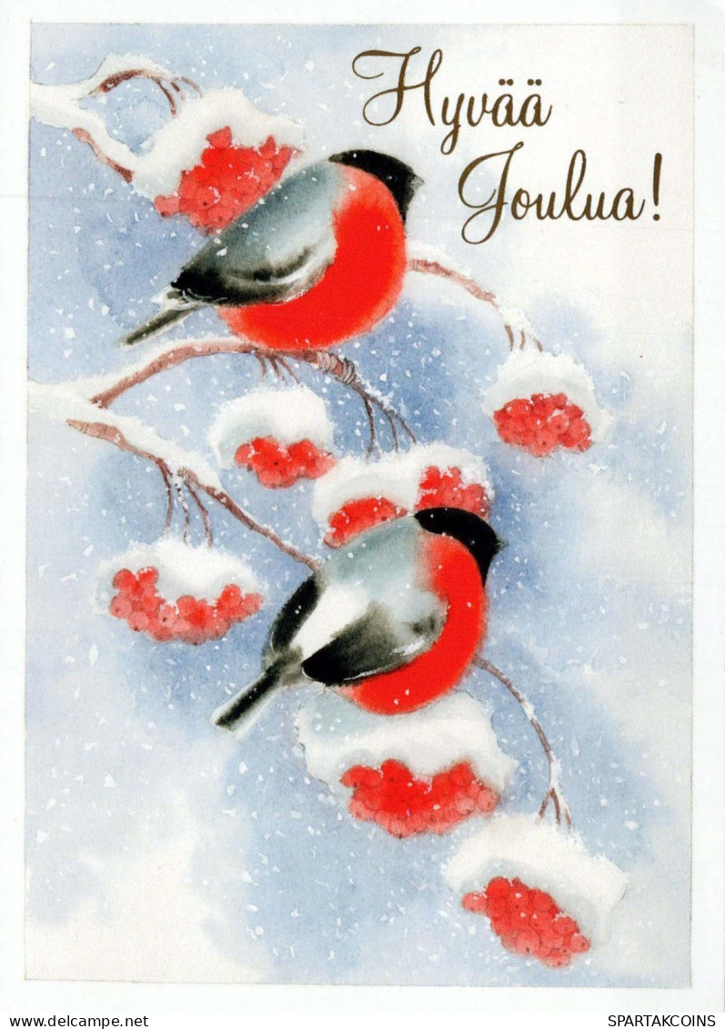 Happy New Year Christmas BIRD Vintage Postcard CPSM #PAW945.GB - Nouvel An