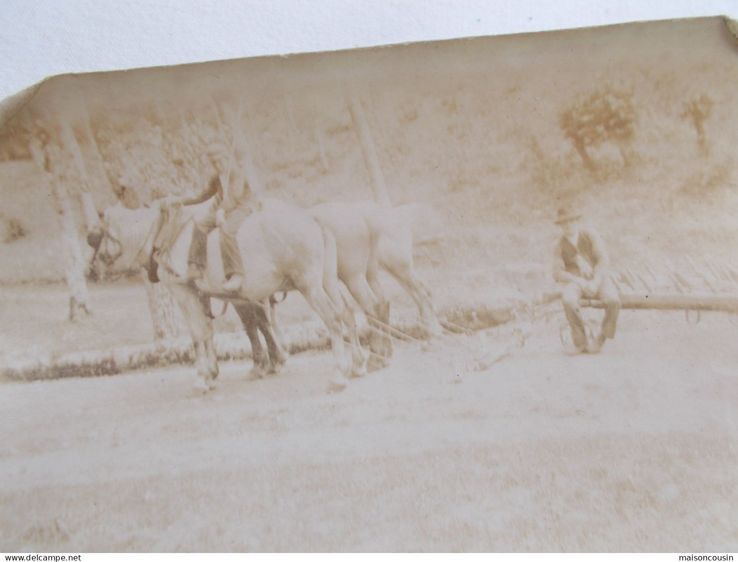 PHOTO ANCIENNE ANTIQUE FOTO SNAPSHOT CHEVAUX TRAIT HERSE CHARRUE LABOUR MONTREUIL VINTAGE - Profesiones