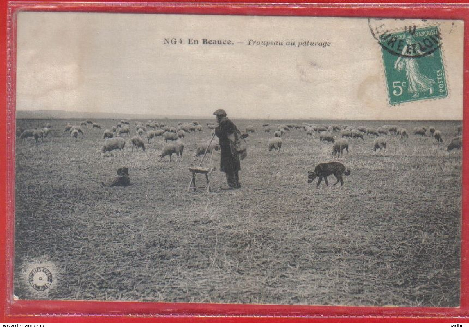 Carte Postale 28. En Beauce  Berger Et Son Troupeau De Moutons Au Pâturage  Très Beau Plan - Autres & Non Classés