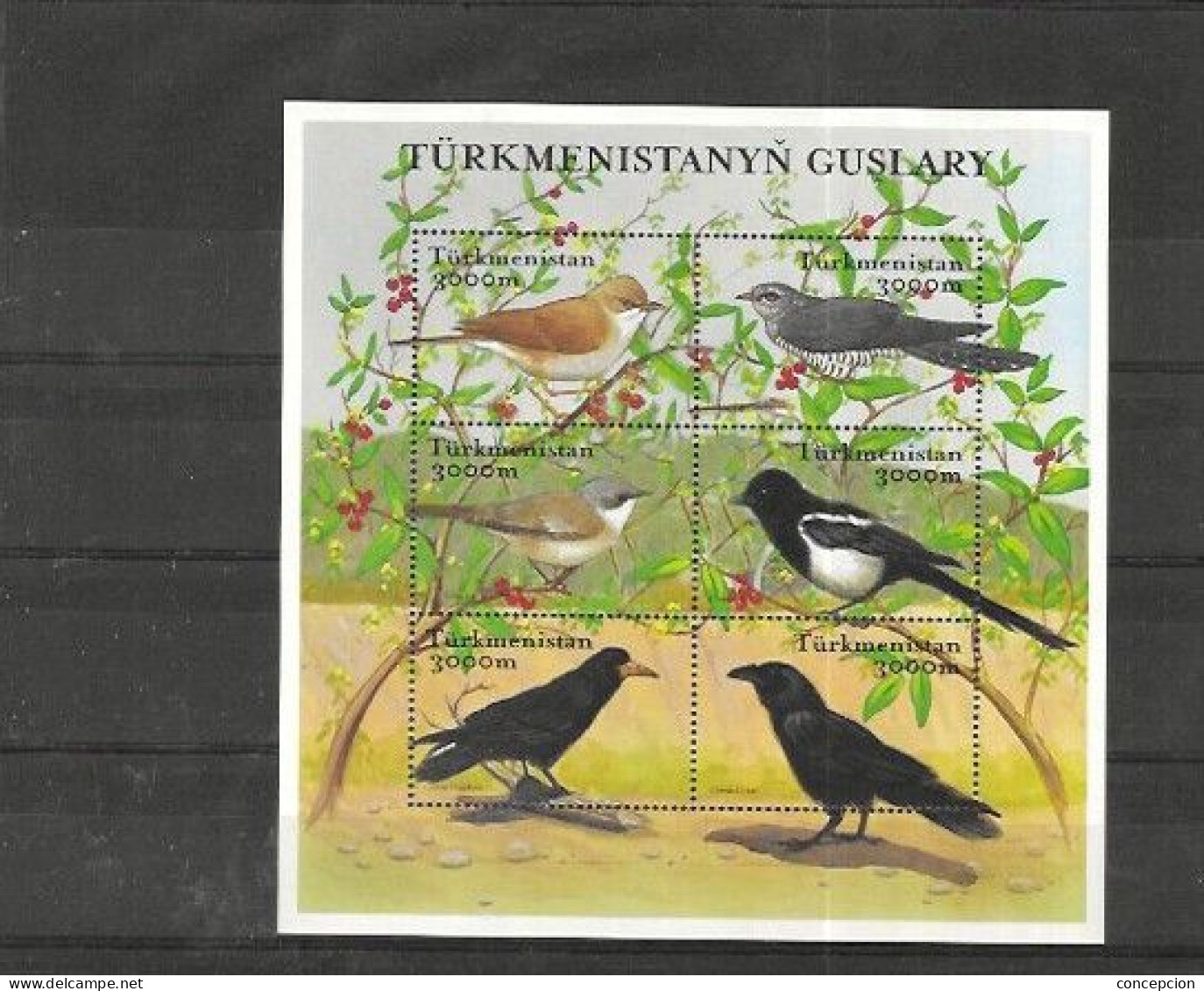TUMEKISTAN Nº 169 AL 174 - Uccelli Canterini Ed Arboricoli