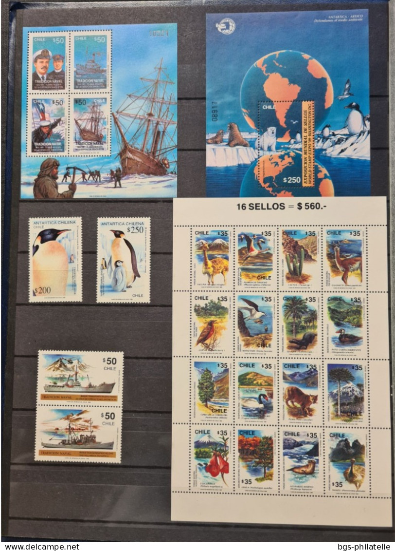 Collection De Timbres Sur Le Thème Amérique Du Sud,  Polaire. - Collections (sans Albums)