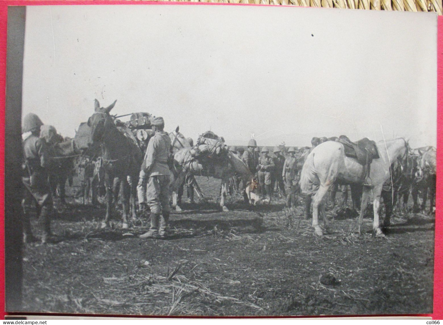 AFN Corps Expéditionnaire Français 5 Photos Casque Colonial Et Chemin De Fer 10.5x14.7cm - War, Military