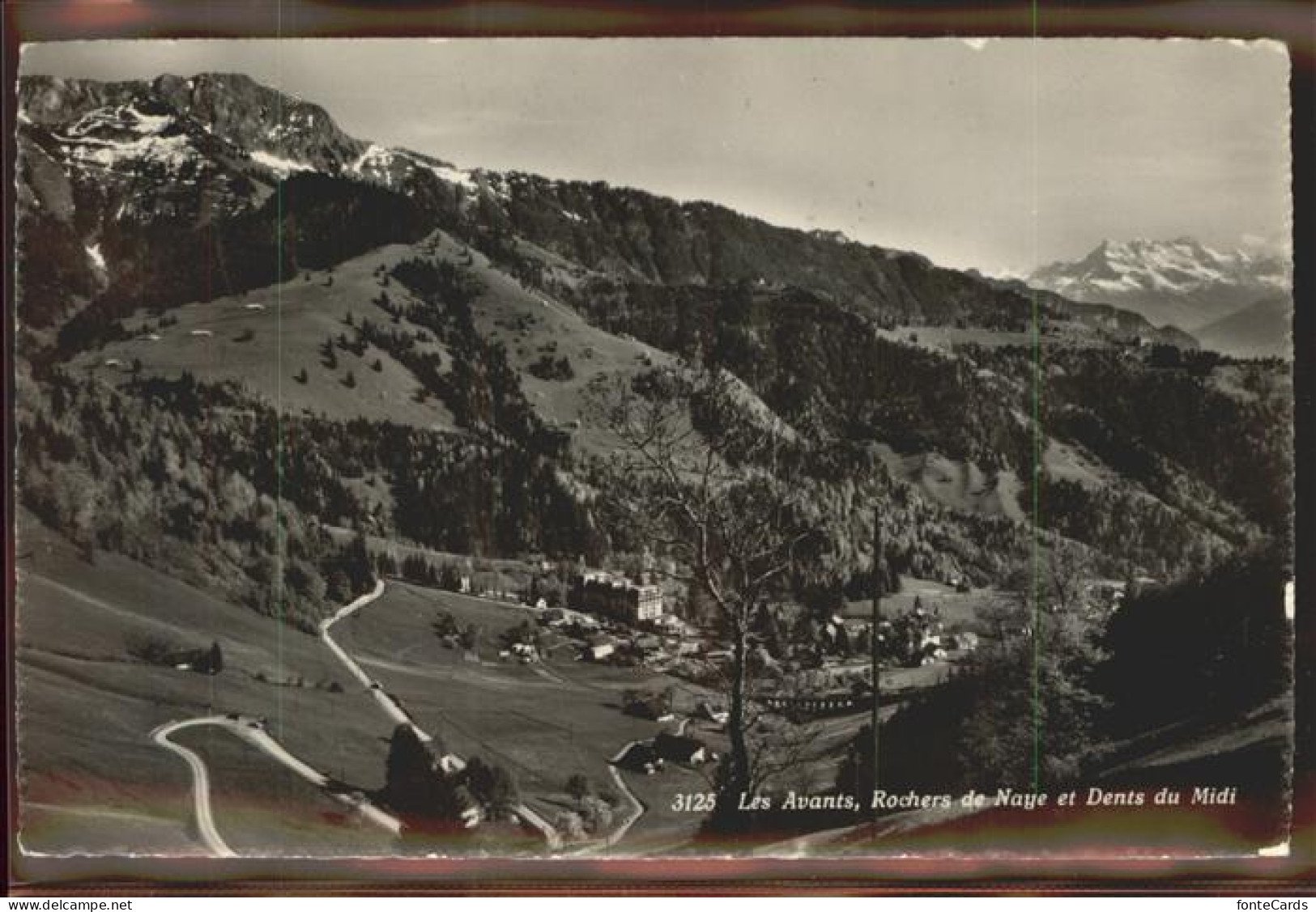 11305307 Les Avants Panorama Rochers De Naye Et Dents Du Midi Berner Alpen Les A - Other & Unclassified