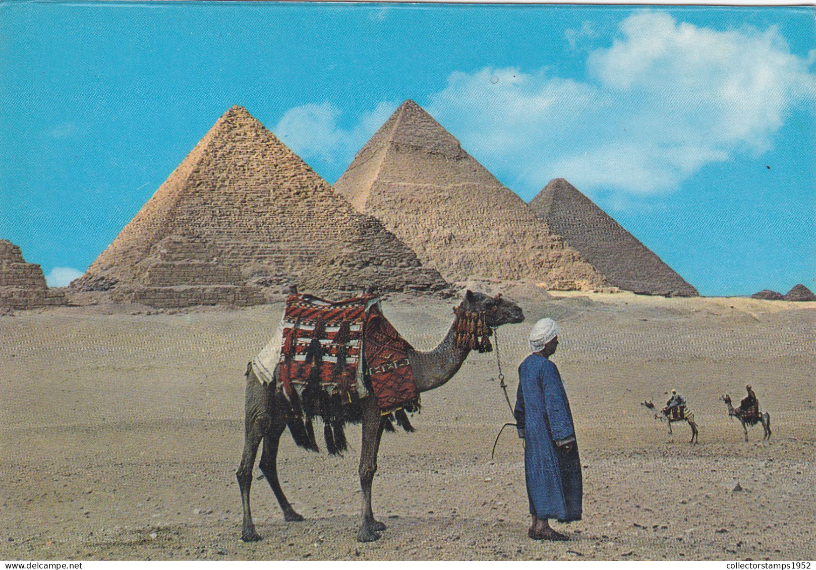 GIZA, GIZEH, PYRAMIDS, CAMELS, EGYPT, POSTCARD - Guiza