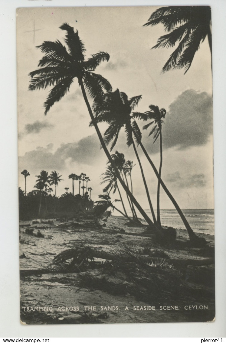 ASIE - SRI LANKA - CEYLON - Tramping Across The Sands - A Seaside Scene - Sri Lanka (Ceylon)