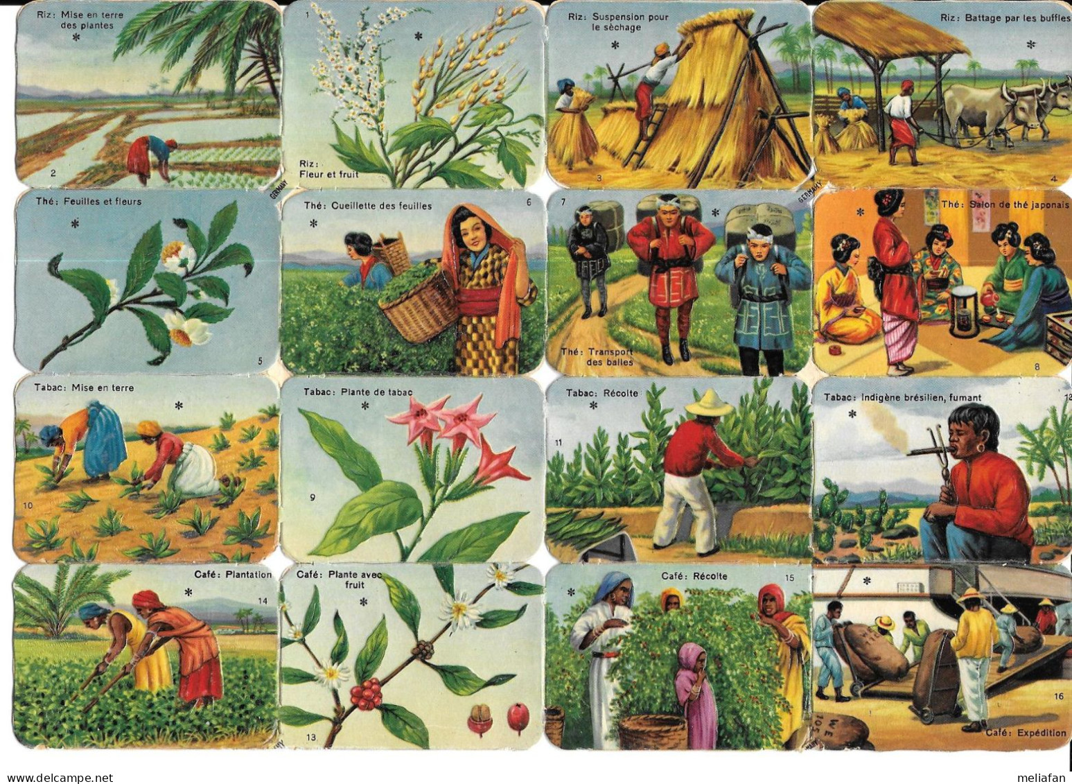 AN05 - PLANCHE IMAGES GAUFREES CHOCOLAT LOUIT - PRODUITS COLONIAUX - Andere & Zonder Classificatie