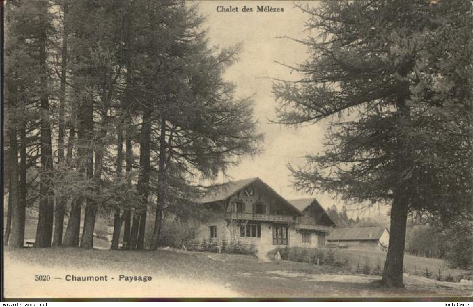 11304109 Chaumont NE Chalet Des Melezes Chaumont - Sonstige & Ohne Zuordnung