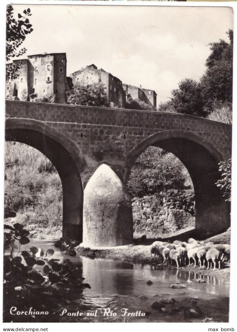 1966 CORCHIANO 1  PONTE VITERBO - Viterbo