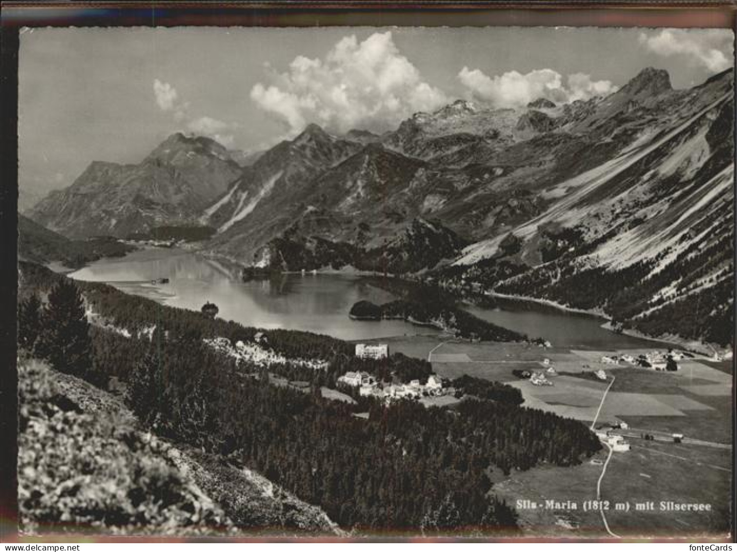 11303780 Sils Maria Graubuenden Silsersee Berge Sils Maria - Other & Unclassified