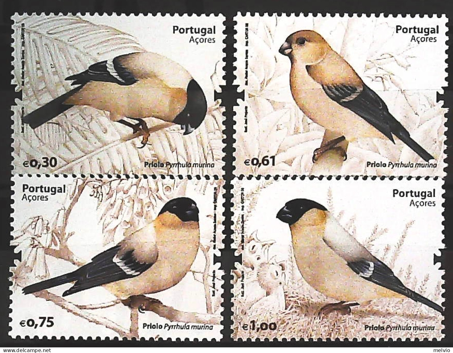 2008-Azzorre (MNH=**) Serie 4 Valori Uccelli - Azores