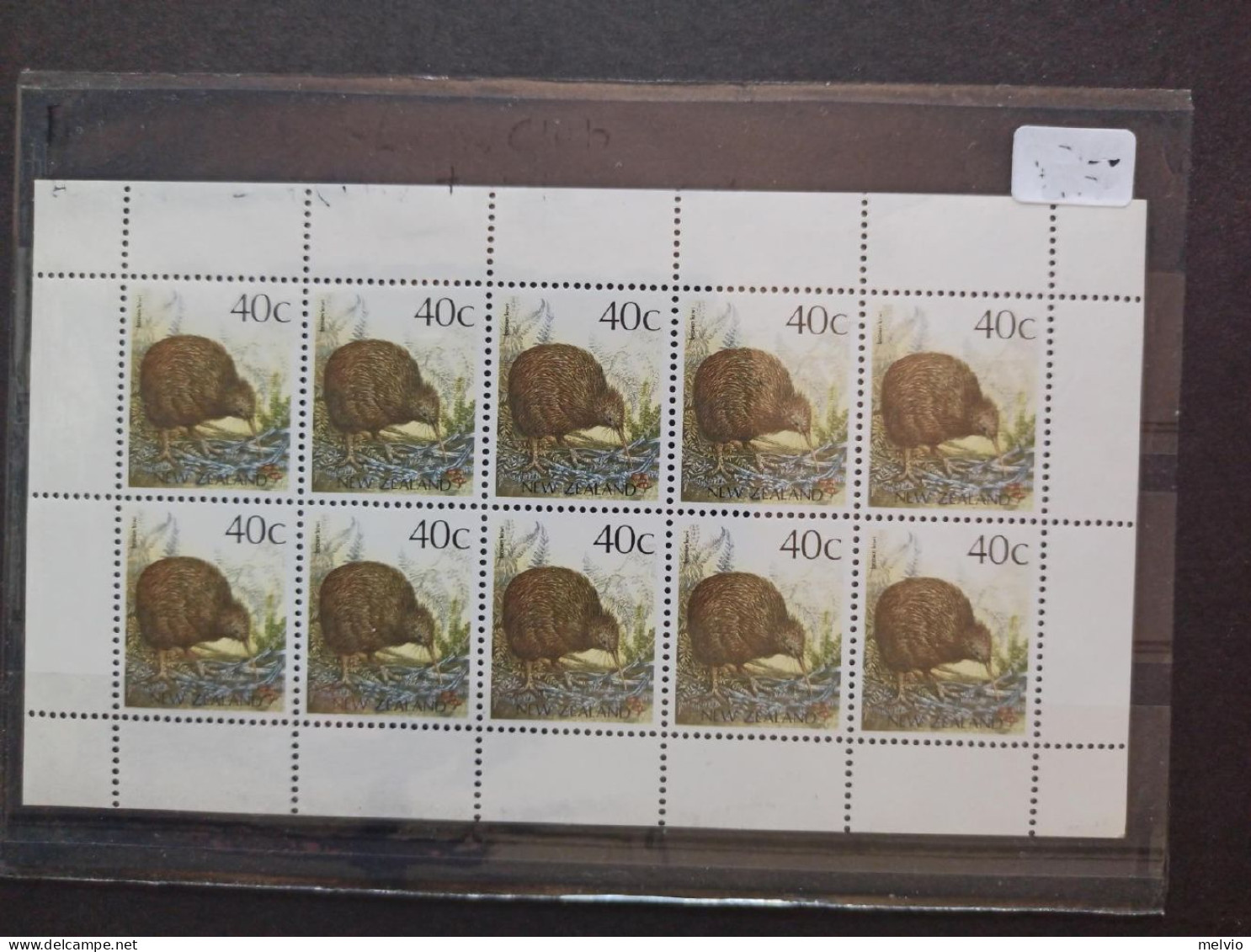 1991-Nuova Zelanda (MNH=**) Blocco 10 Valori Kiwi - Autres & Non Classés