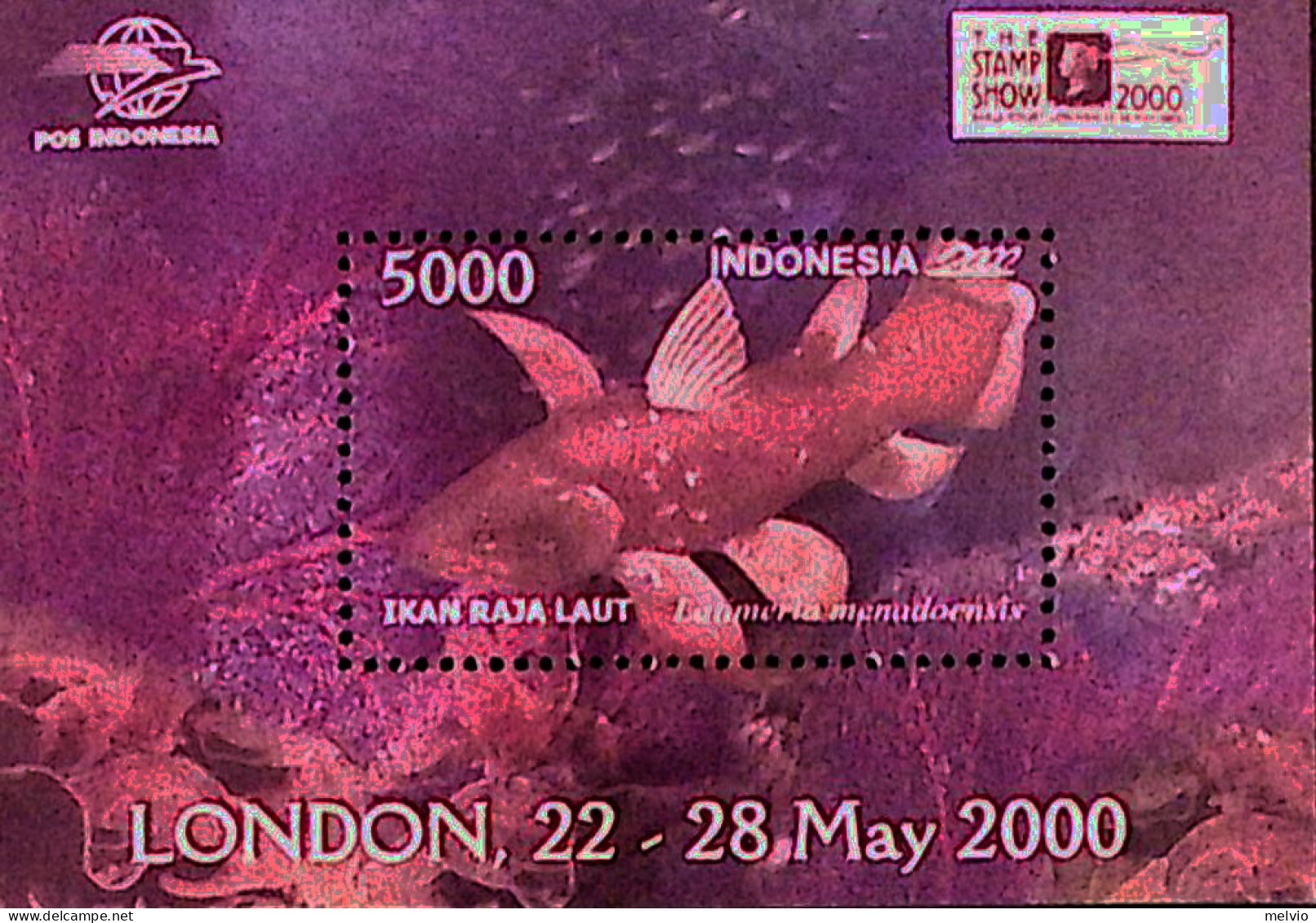 2000-Indonesia (MNH=**) Foglietto 1 Valore Londra 2000, Pesce - Indonesia