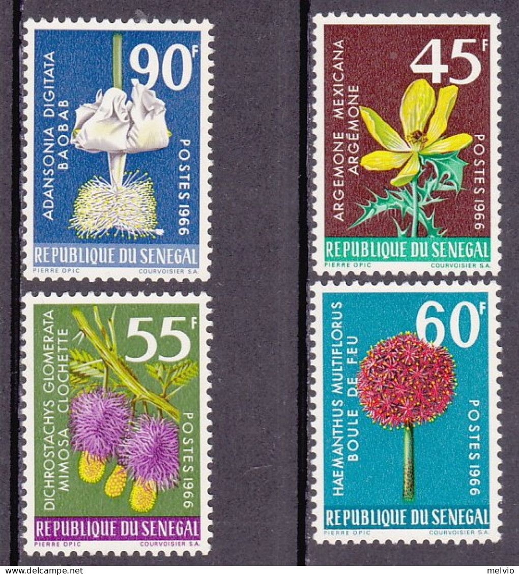 1966-Senegal (MNH=**) S.4v."Fiori"catalogo Yvert Euro 5,5 - Senegal (1960-...)