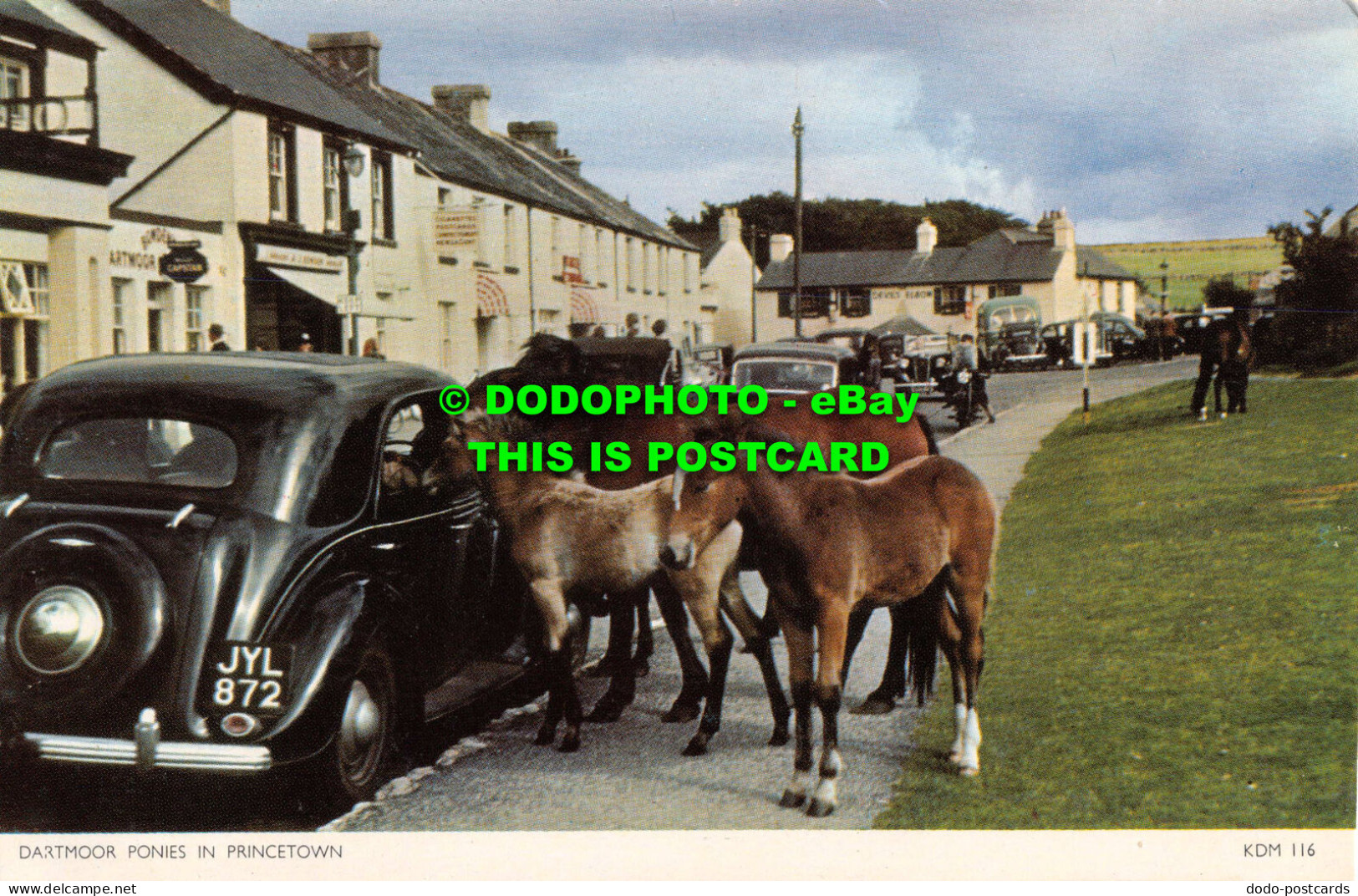 R554781 Dartmoor Ponies In Princetown. Jarrold. RP - Monde