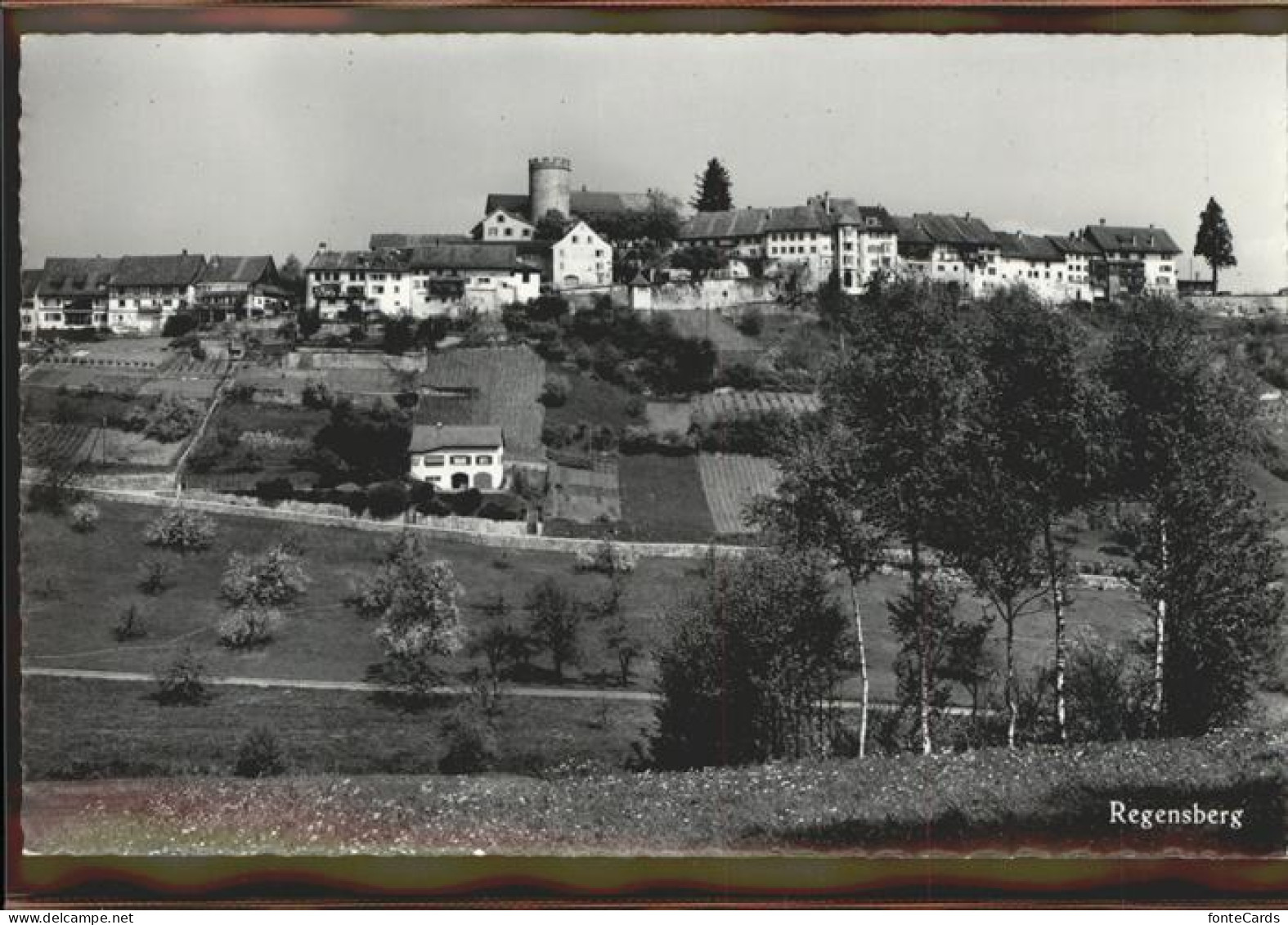 11294829 Regensberg Dielsdorf Loewen Restaurant  Regensberg - Sonstige & Ohne Zuordnung