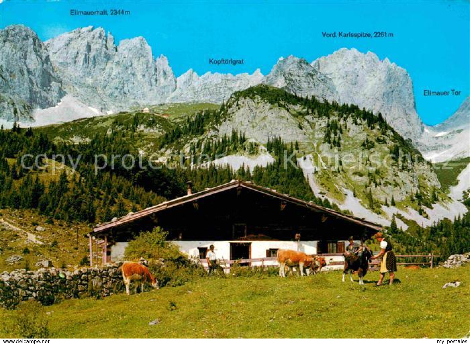 72627482 Ellmau Tirol Wochenbrunneralm Kaisergebirge Almvieh Kuehe Ellmau - Other & Unclassified