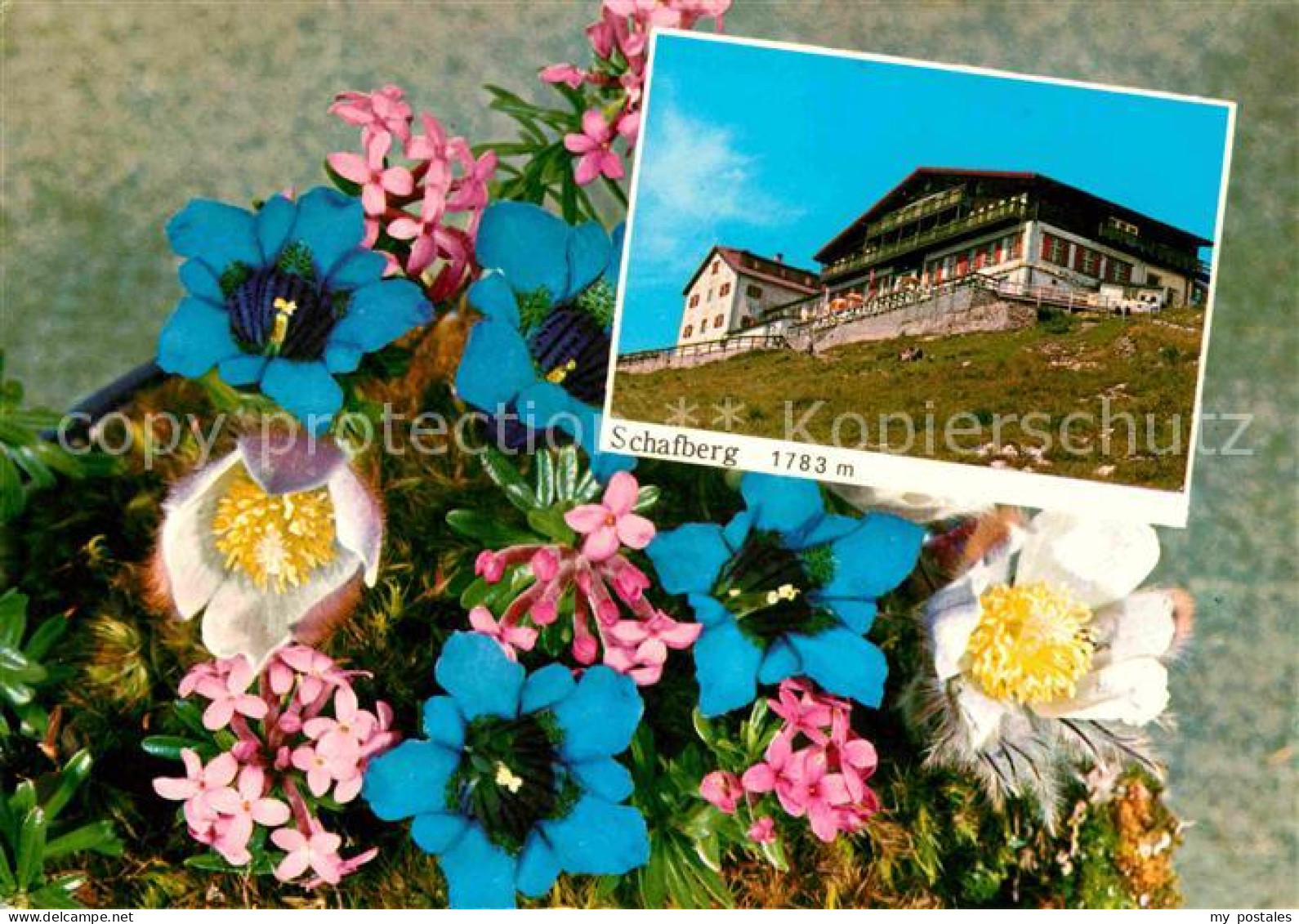 72626748 St Wolfgang Wolfgangsee Berghotel Restaurant Auf Dem Schafberg Alpenblu - Autres & Non Classés