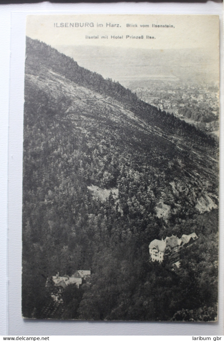 AK Ilsenburg (Harz) Ilsenttal Mit Hotel Prinzeß Ilse 1924 Gebraucht #PD860 - Autres & Non Classés