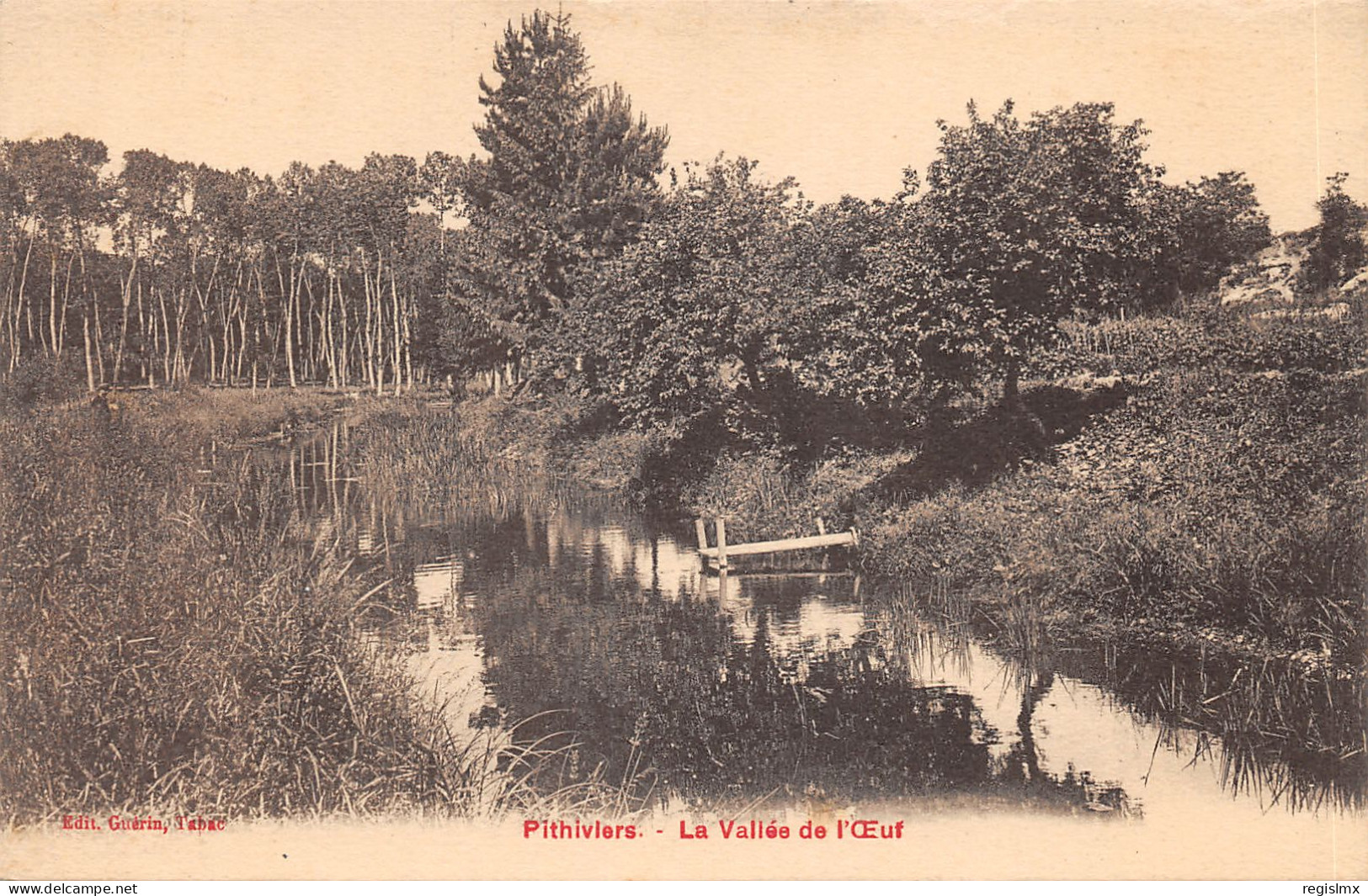 45-PITHIVIERS-N°2154-E/0039 - Pithiviers