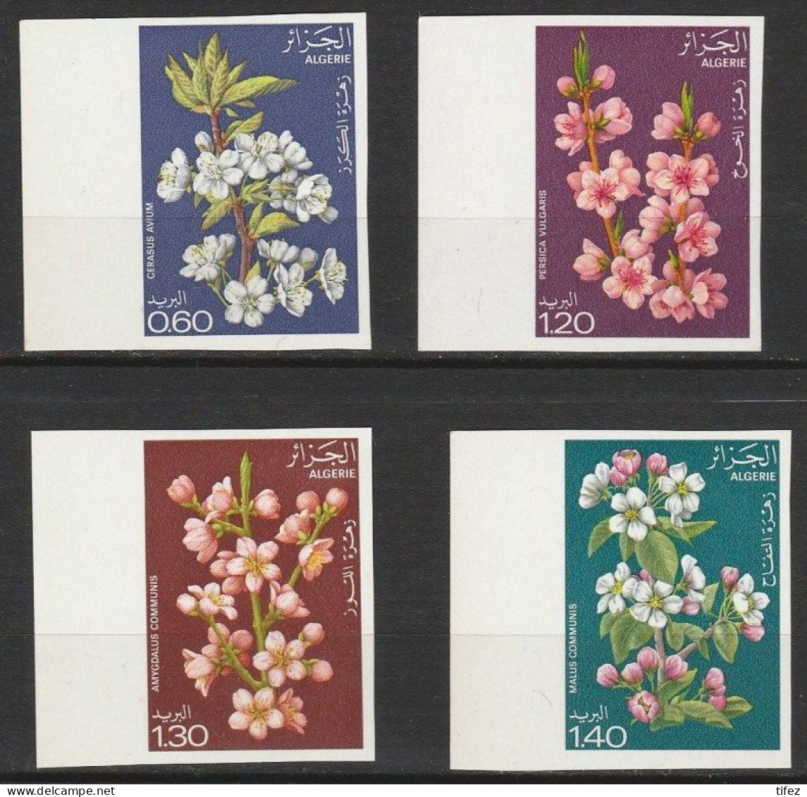 Non-dentelé/Année 1978-N°679/682 Neufs**MNH/imperforate : Fleurs D'arbres : Série Complète : (mg1) - Algerien (1962-...)