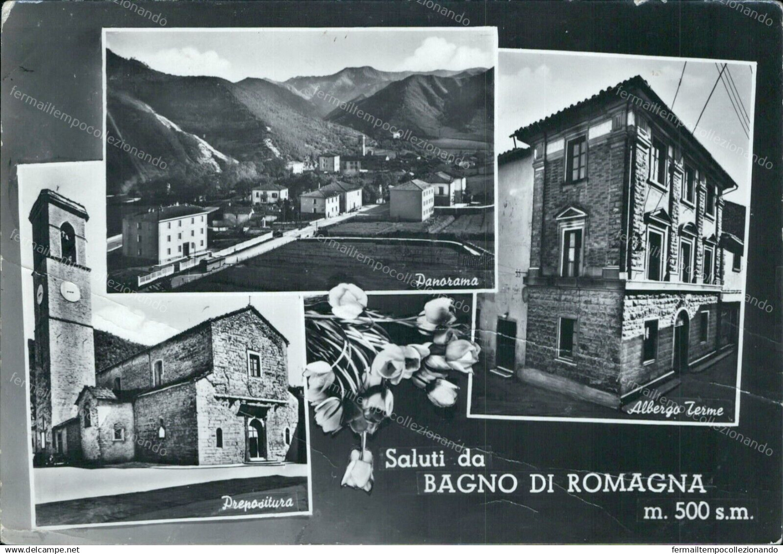 Cr412 Cartolina Saluti Da Bagno Di Romagna Provincia Di Forli' Emilia Romagna - Forlì