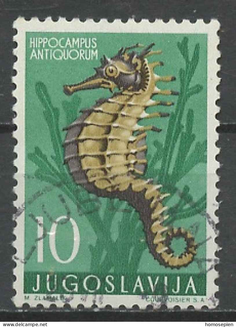 Yougoslavie - Jugoslawien - Yugoslavia 1956 Y&T N°697 - Michel N°795 (o) - 10d Hippocampe - Used Stamps