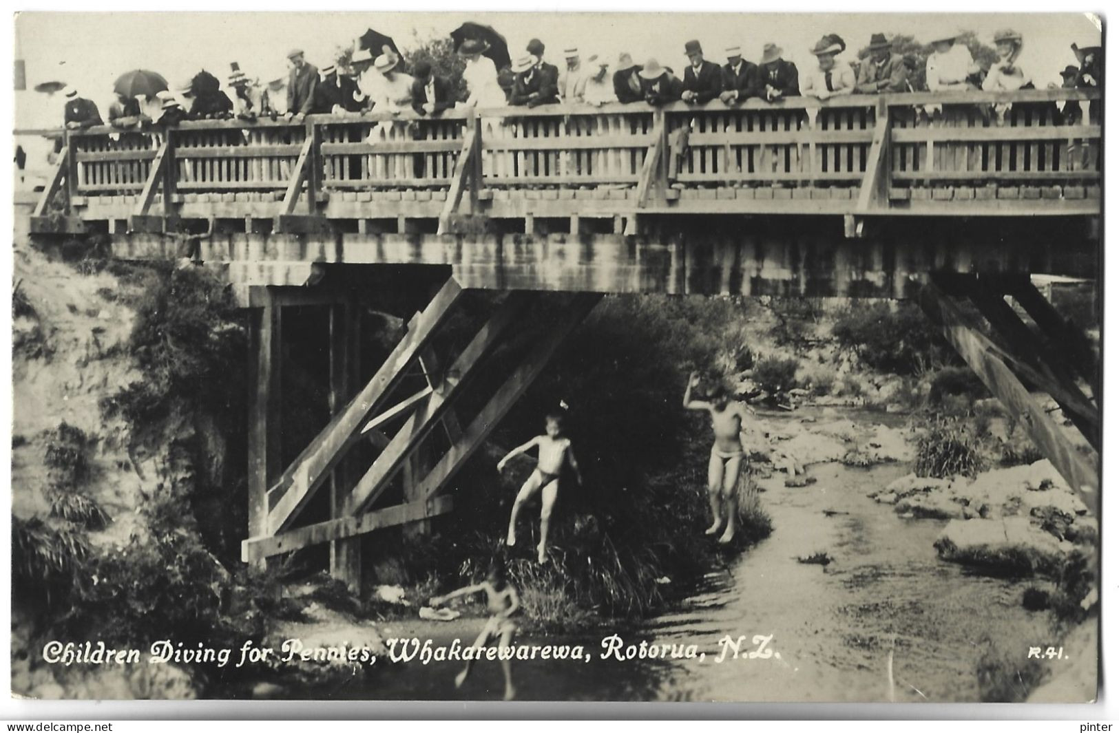 PAYS-BAS - Children Diving For Pennies, Whakarewarewa, Rotorua - CARTE PHOTO - Other & Unclassified