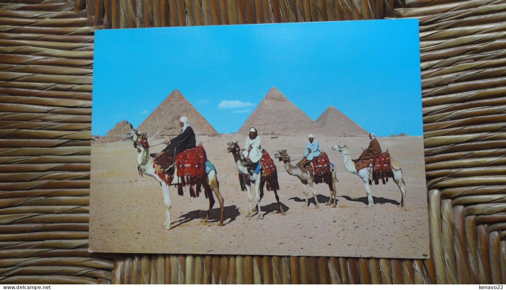 égypte , Giza , Arab Camelriders In Front Of The Pyramids - Guiza