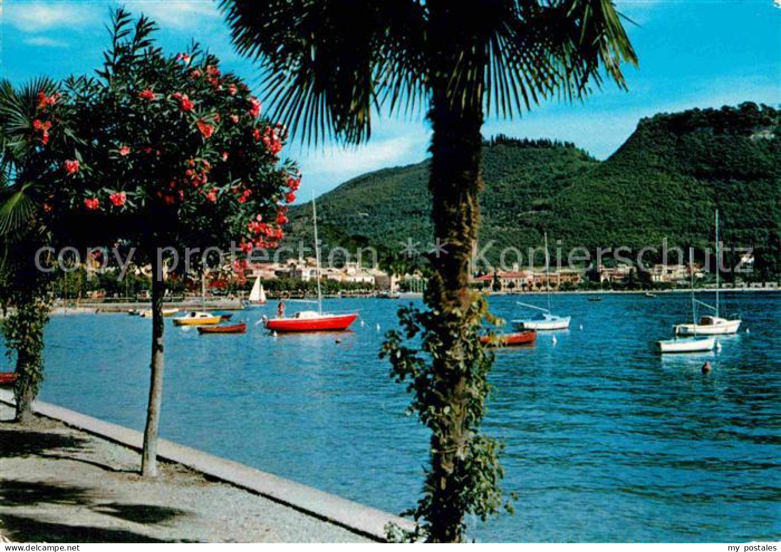 72616260 Garda Lago Di Garda Lungo Lago Uferpromenade Am Gardasee Garda Lago Di  - Andere & Zonder Classificatie