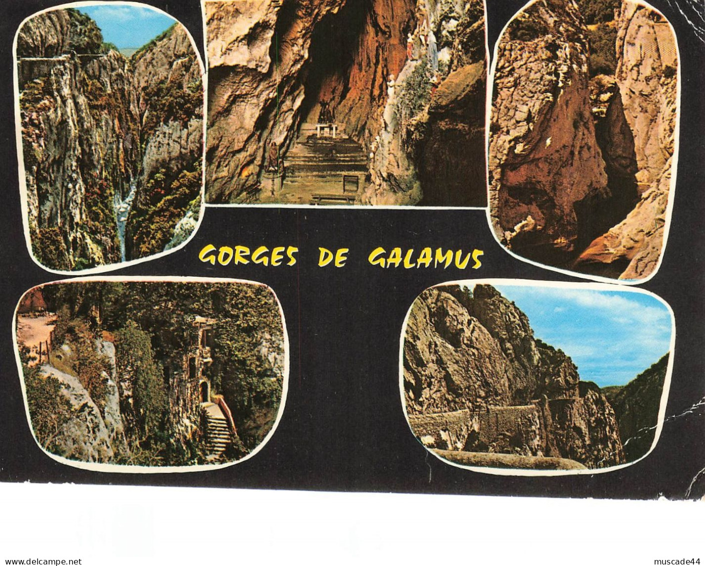 ST PAUL DE FENOUILLET - GORGES DE ST ANTOINE DE GALAMUS - Sonstige & Ohne Zuordnung