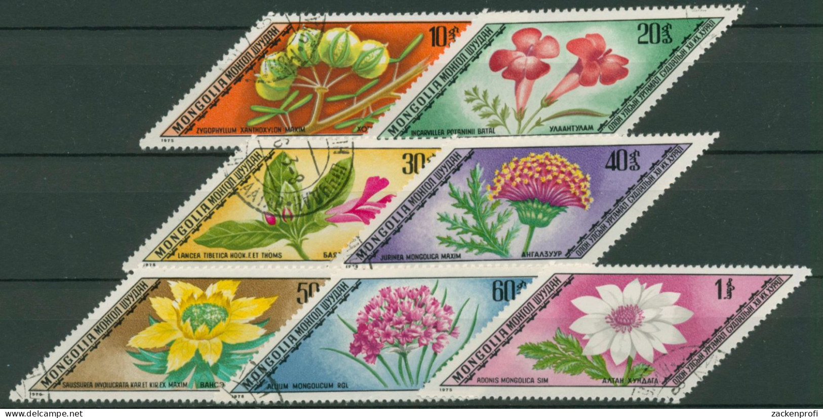 Mongolei 1975 Heilpflanzen Blumen 917/23 Gestempelt - Mongolië