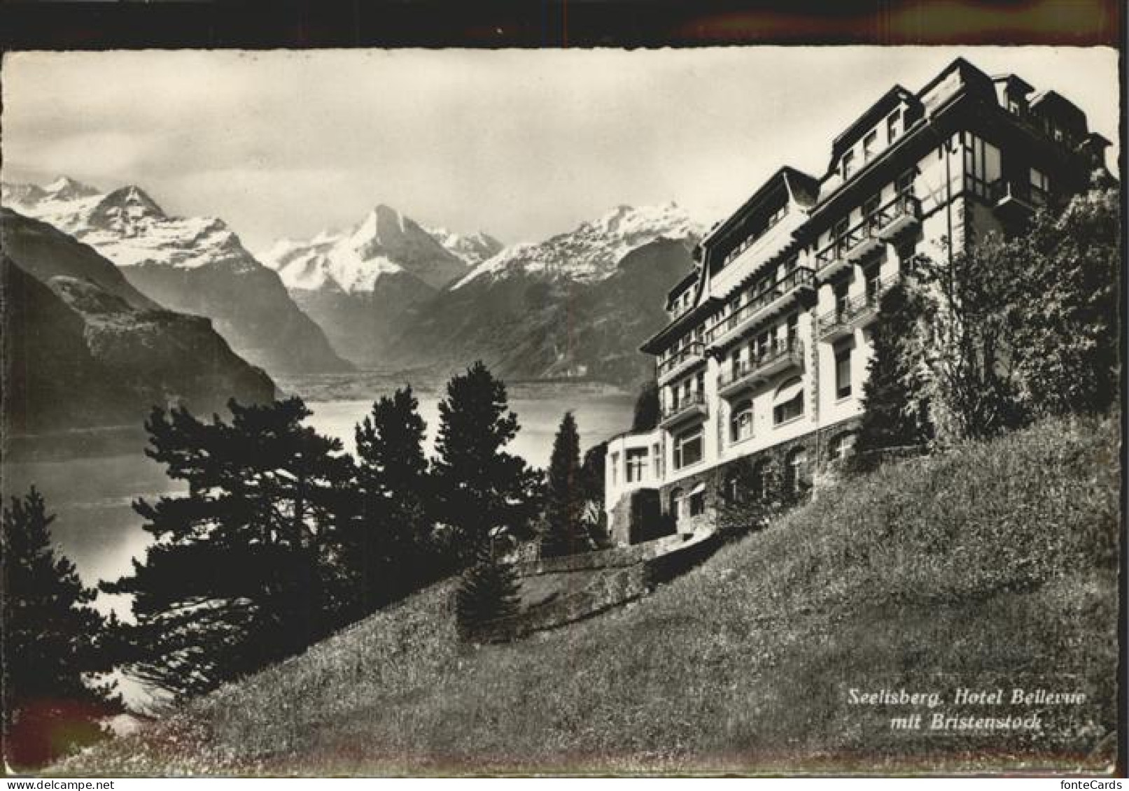 11293748 Seelisberg UR Hotel Bellevue Bristenstock Seelisberg - Andere & Zonder Classificatie