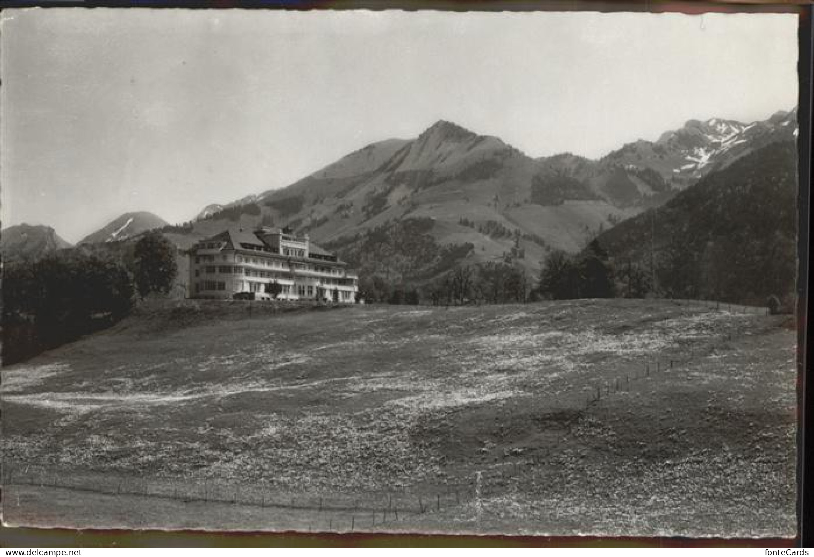 11290142 Gruyeres FR Les Sciernes Gruyeres - Sonstige & Ohne Zuordnung