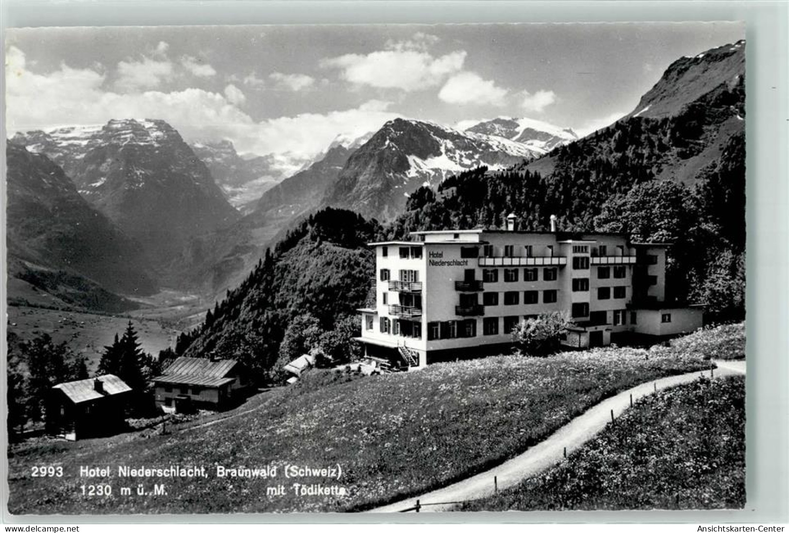 39409511 - Braunwald - Other & Unclassified