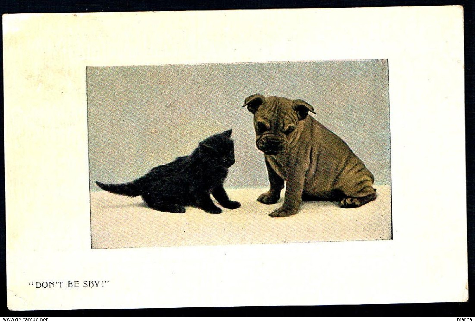 Chien Et Chat -cat And Dog  - Zwart Poesje En Mopshond -katze Hund - Chats