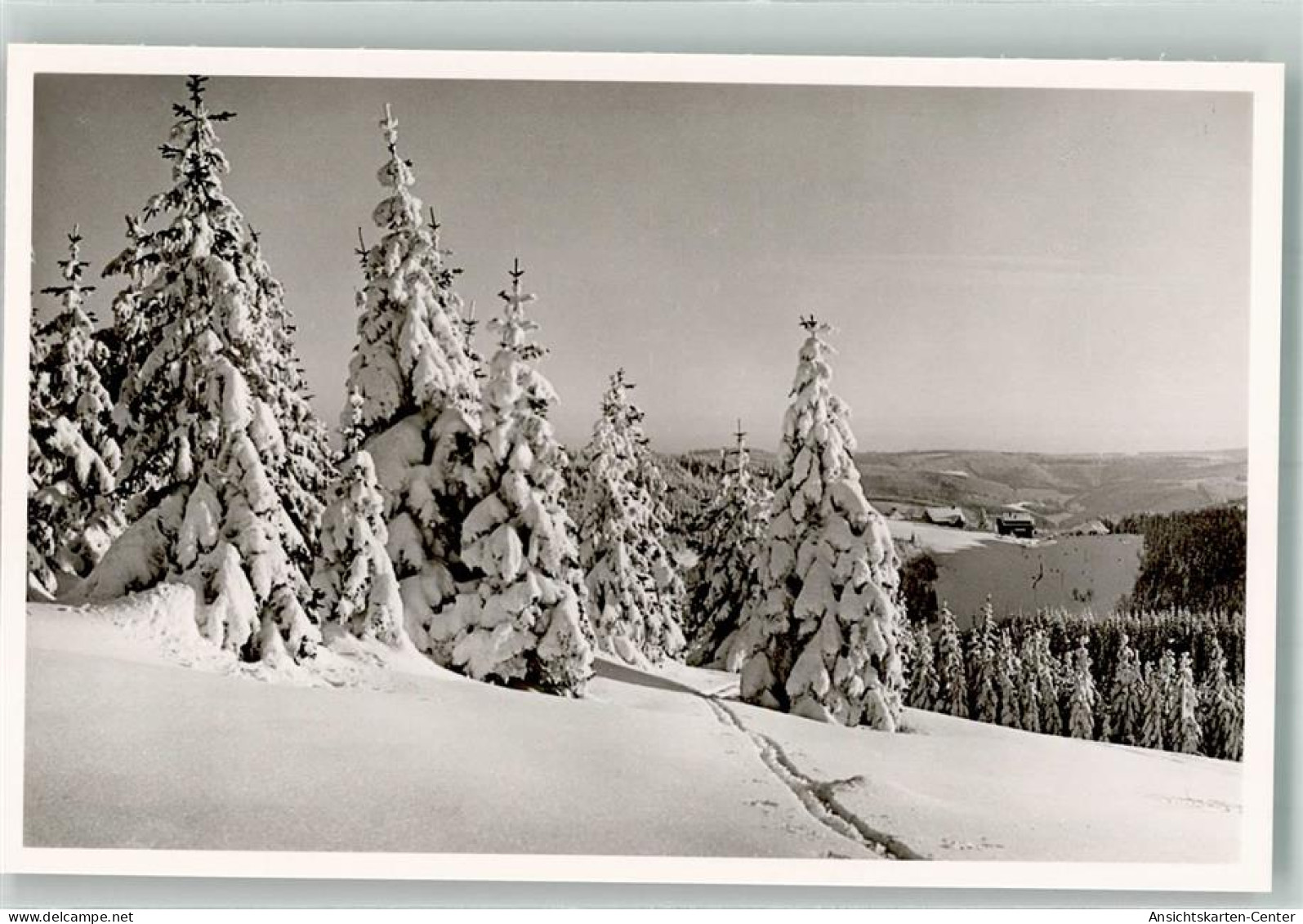 39663911 - Furtwangen Im Schwarzwald - Furtwangen